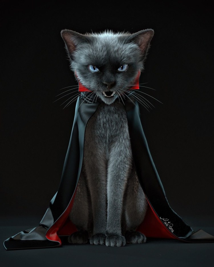 Граф Мрякула кот