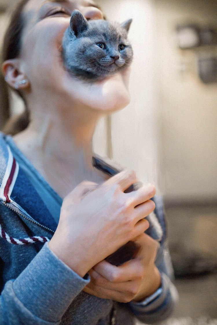 Кота держат за шкирку