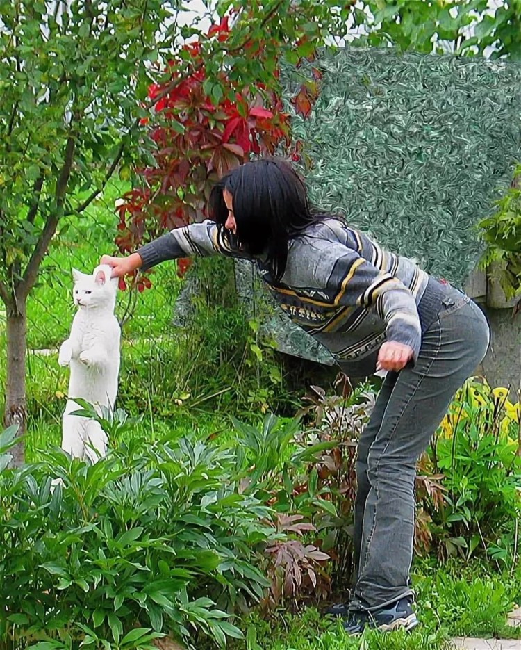 Тянет кота за шею