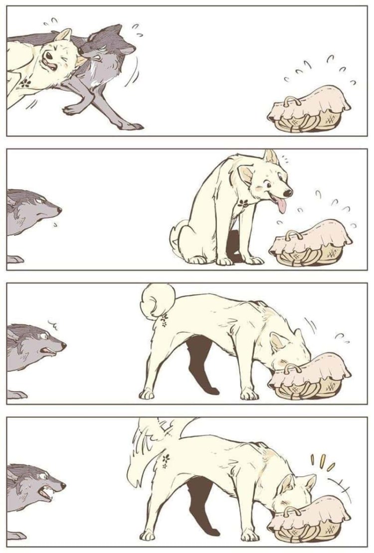 Собака с большими яичками