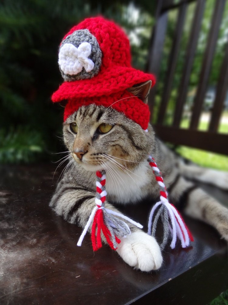 Шапка 'кошка'