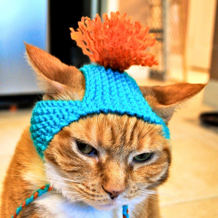 Шапка 'кошка'