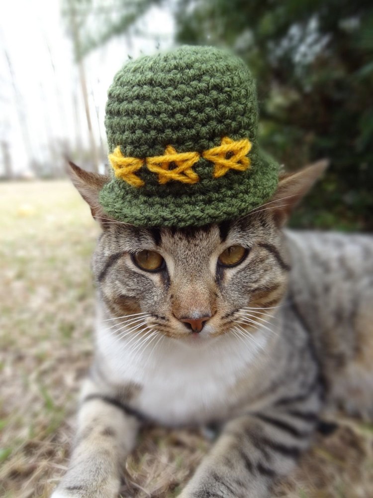 Шапка 'кошка'