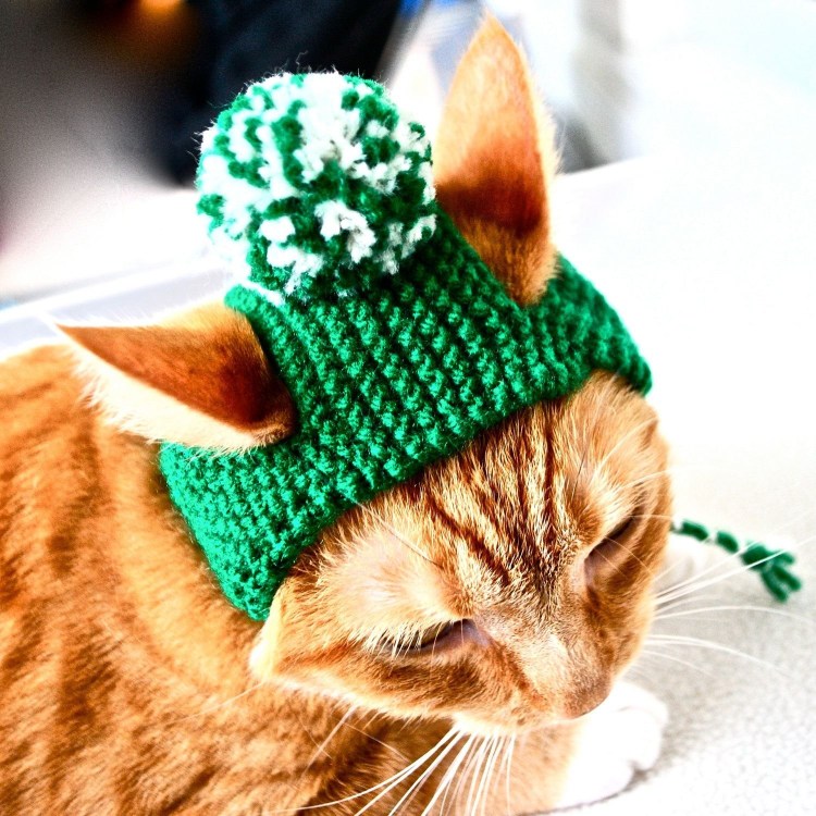 Шапка 'кошка'