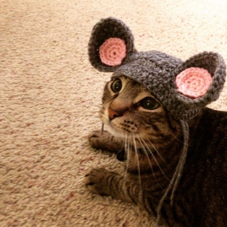 Шапка 'кошка'