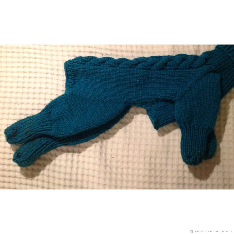 Одежда для йорков мальчиков