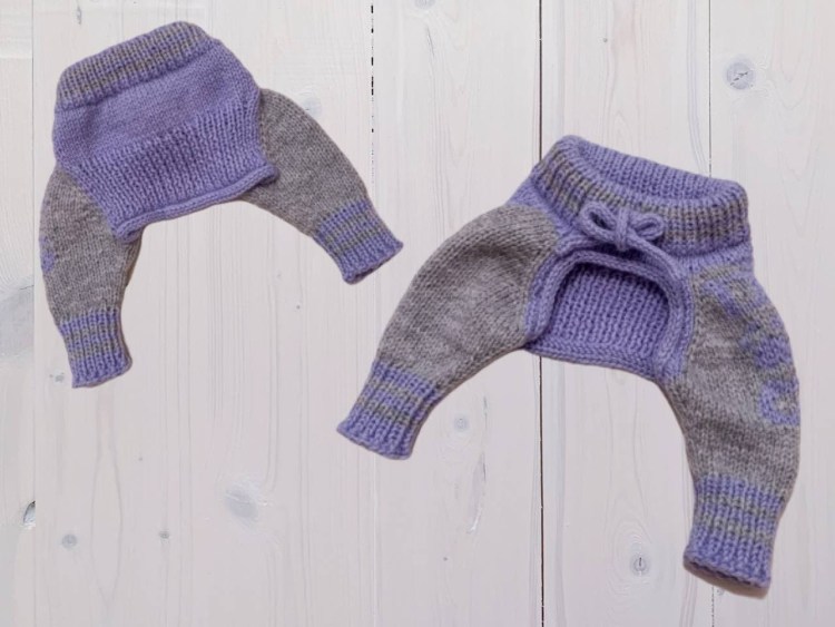 Штанишки для собаки спицами
