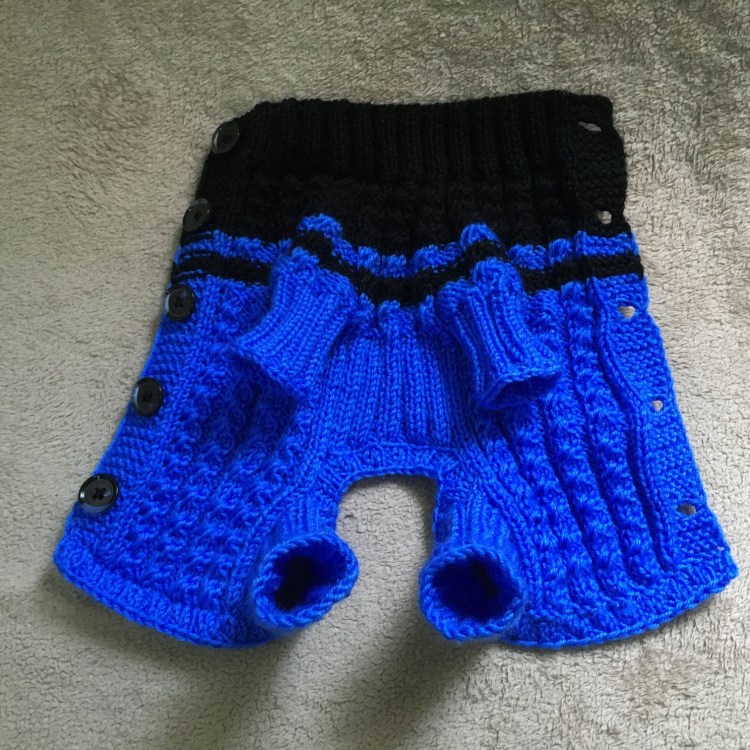 Вязаные штаны для собаки