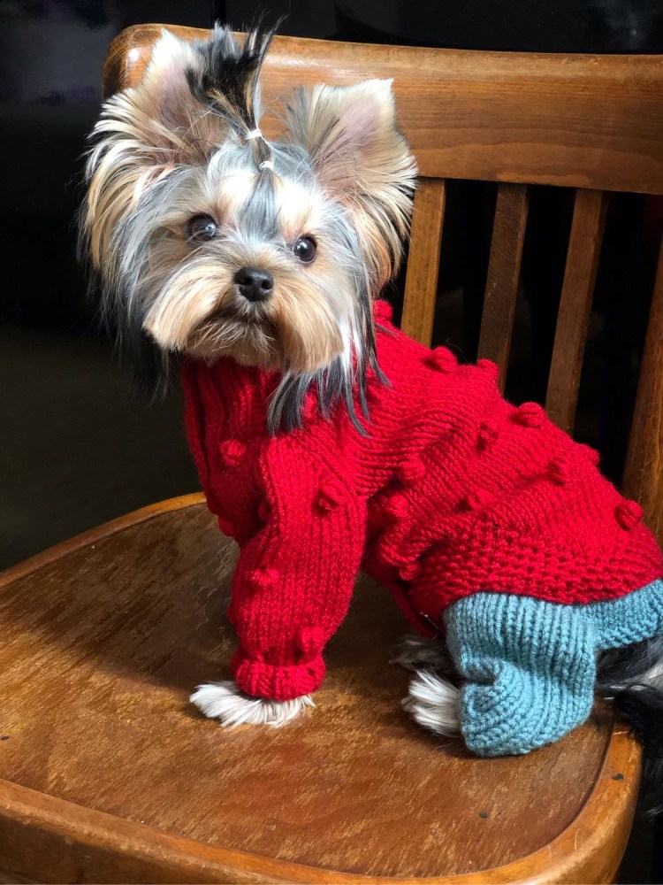 Вязаный костюм для собаки