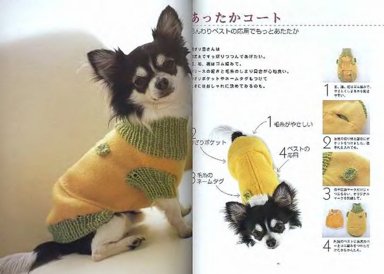 Схема вязки свитера для собаки