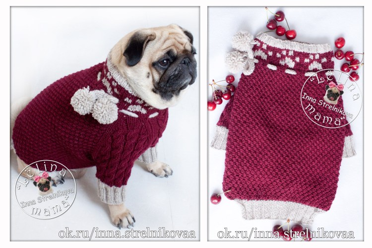 Выкройка комбинезона для собаки девочки той терьера удобный