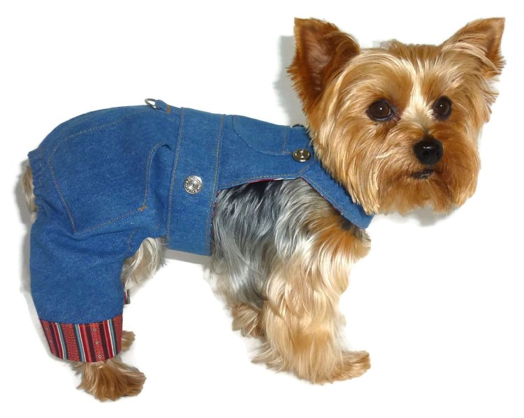 Вязаный костюм для собаки