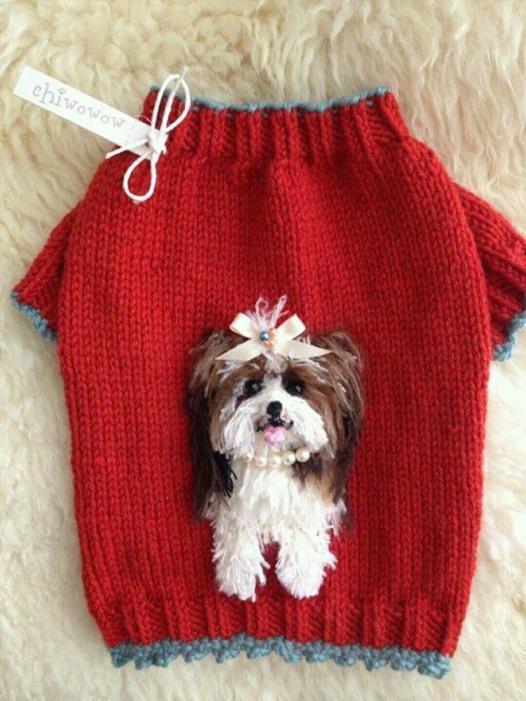 Одежда для собак чихуахуа мерки