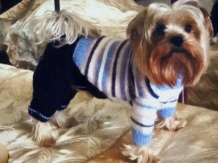 Вязаные костюмы для китайской хохлатой