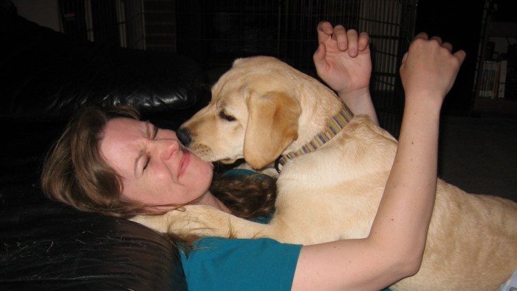 Собака спит в смешной позе