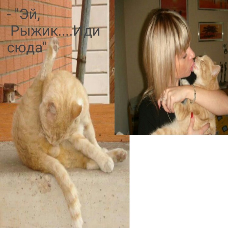 Парни которые лайкают