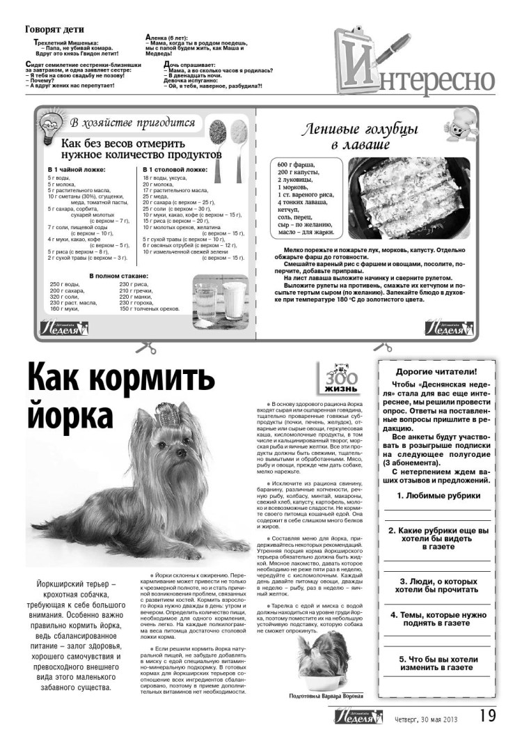 Рацион 2 месячного щенка Йорка