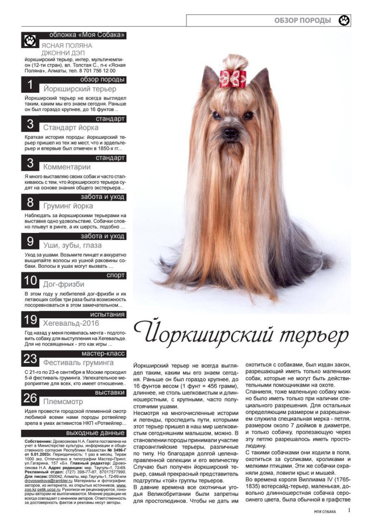 Габариты йоркширского терьера стандарт