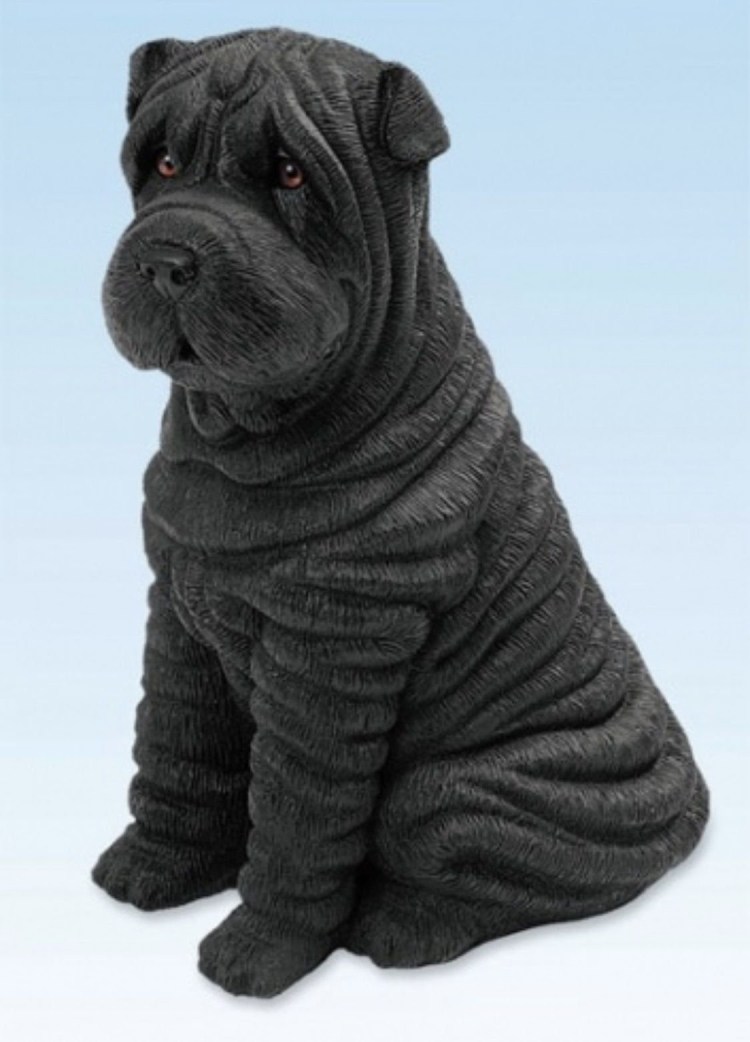 Шарпей собака шарпей