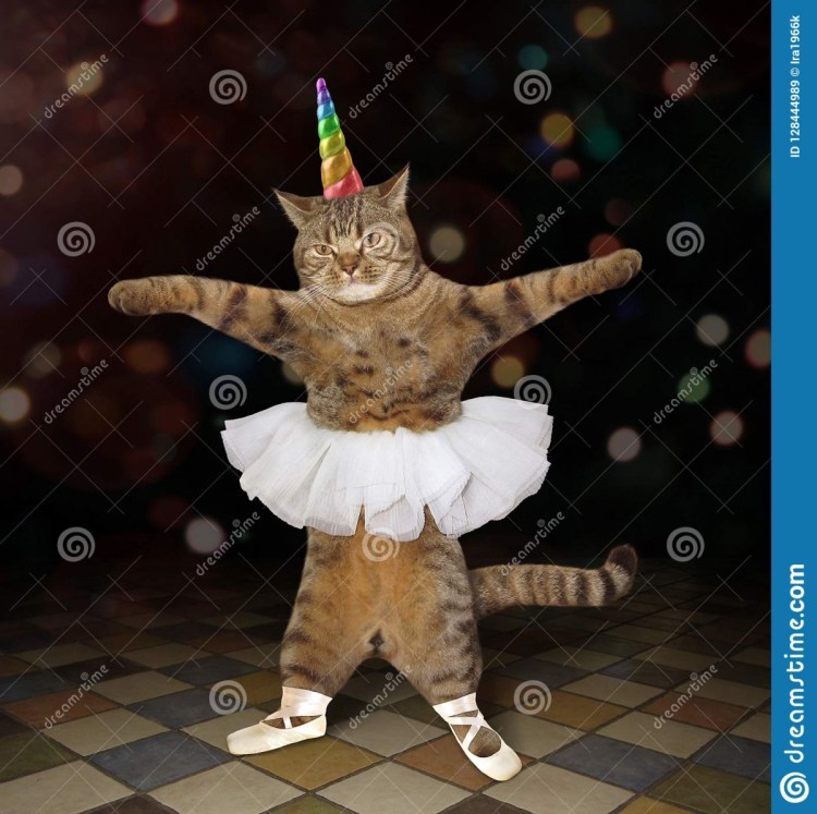 Котик в балетной пачке