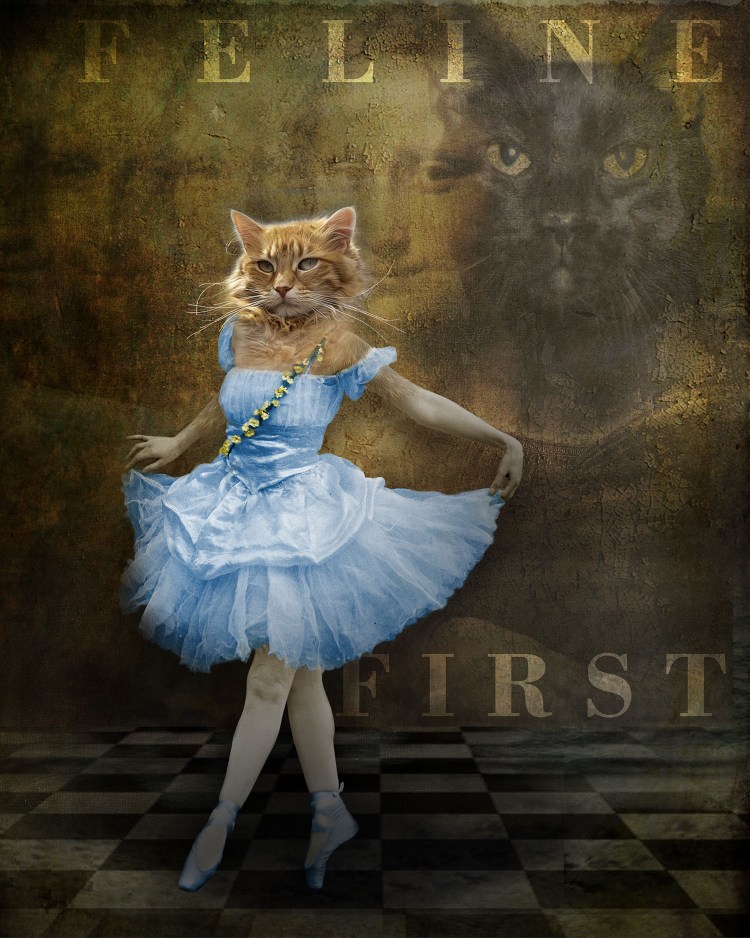 Кот балет