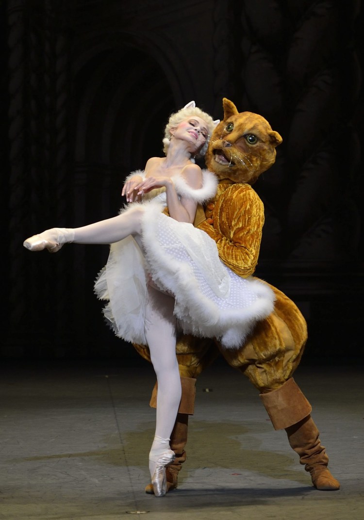 Спящая красавица балет белая кошечка