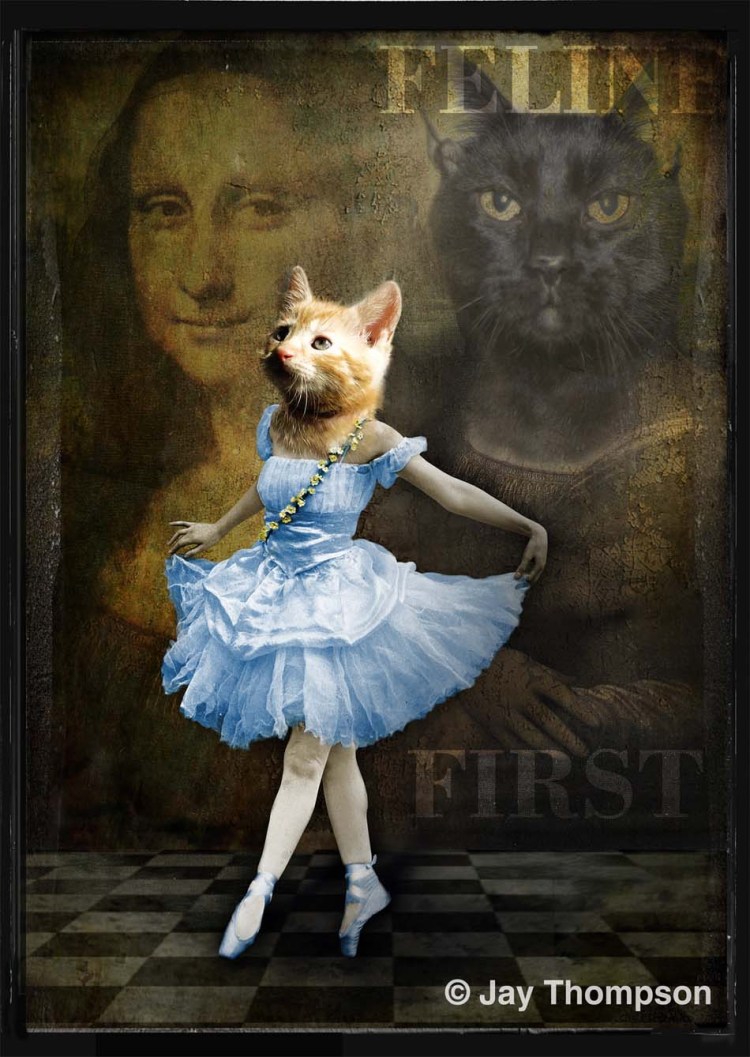 Кошка балерина