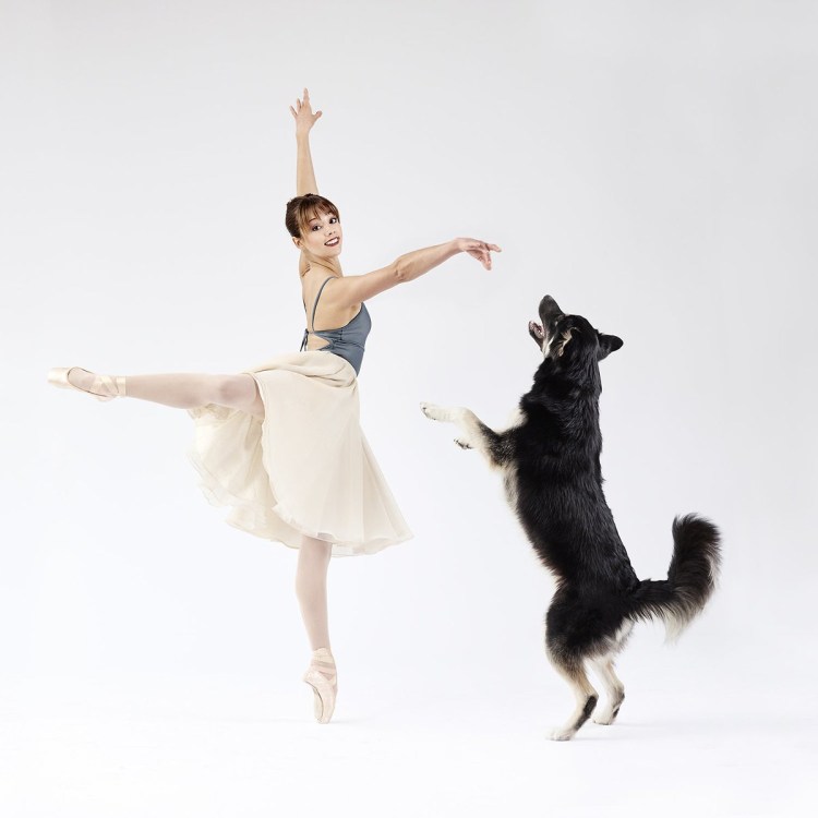 Балет с собакой
