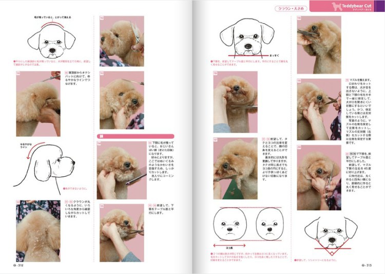 Схема стрижки пуделя в азиатском стиле