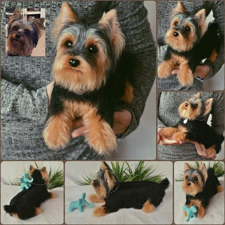 Вязаная одежда для йорков