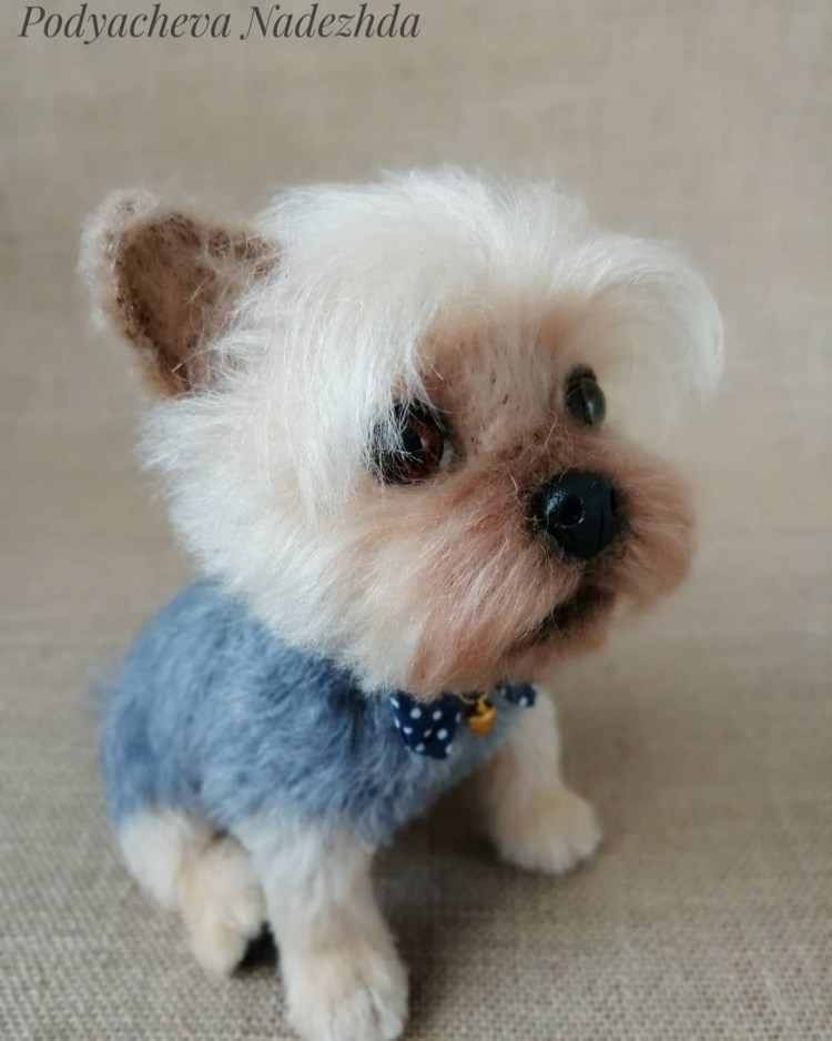 Вязаная одежда для йорков