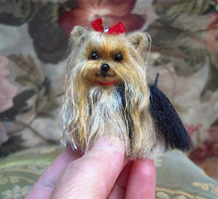 Йорк из пряжи