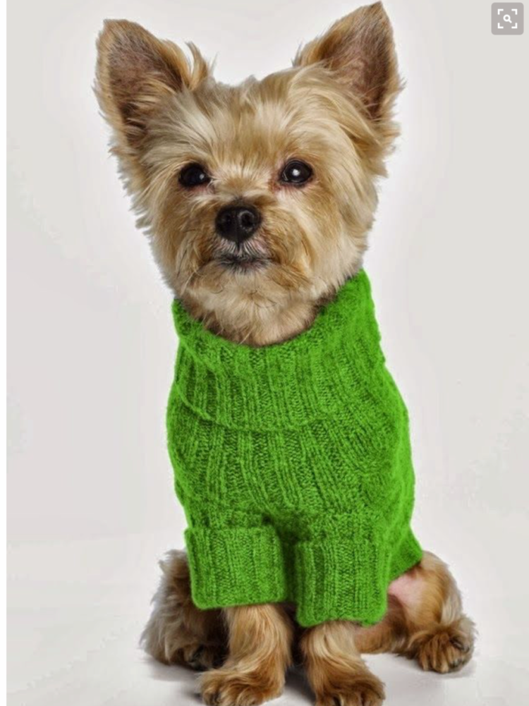 Собачка Йорк из ниток мастер класс