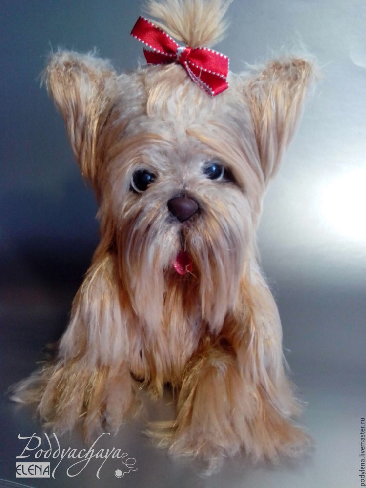 Свитер для собаки Йорка