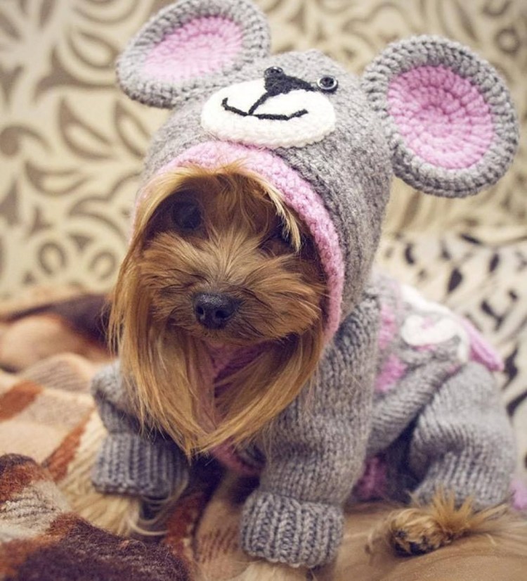 Собачка из пряжи