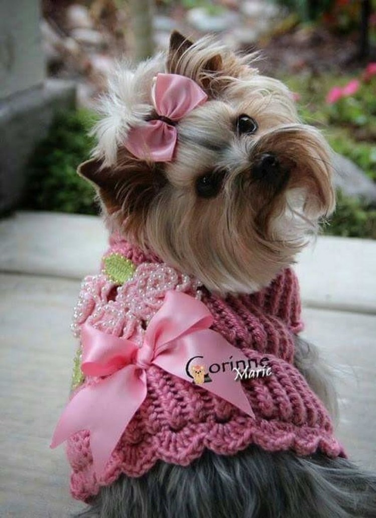 Вышивка на свитере для собак