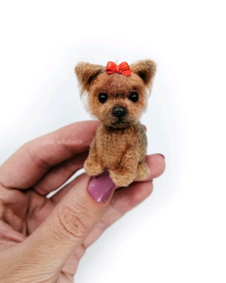 Йоркширский терьер в свитере во весь рост