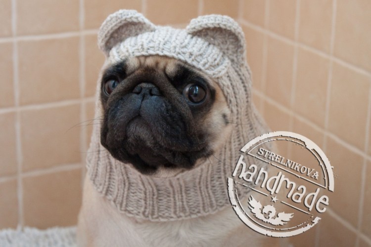 Шапка 'собака'