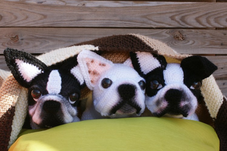 Мопс в шапочке