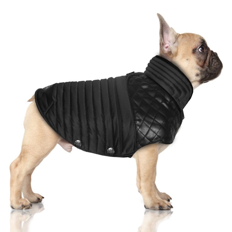 Французский бульдог