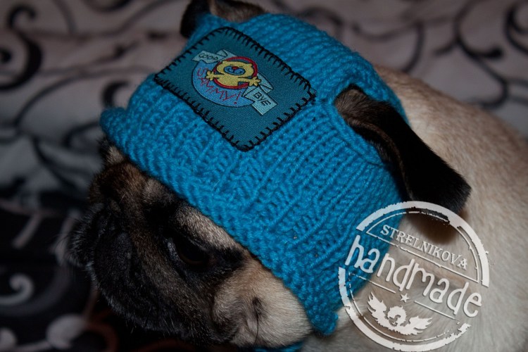 Вязаная одежда для французского бульдога