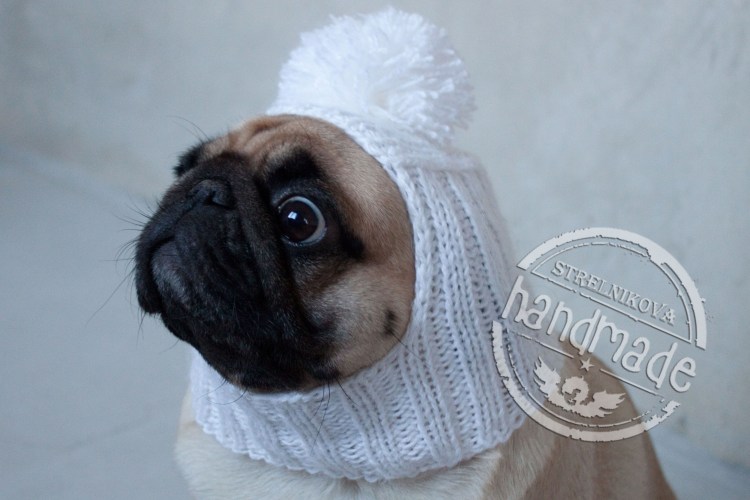 Вязаная шапка для МОПСА