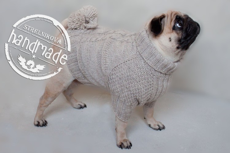 Животные в шапках