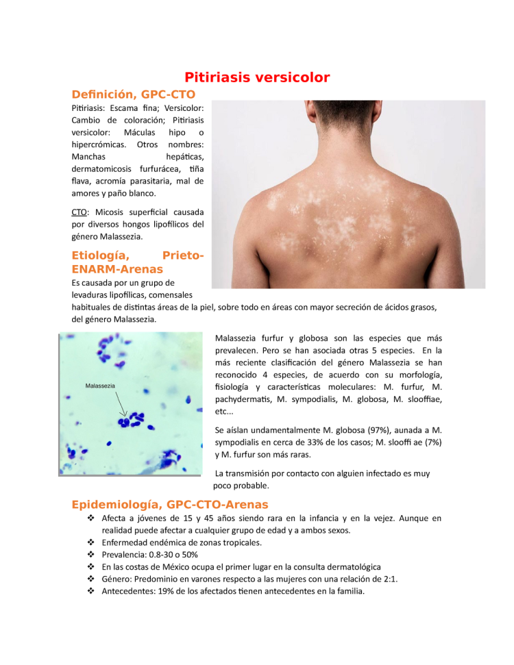 Стафилококк ауреус микроскоп