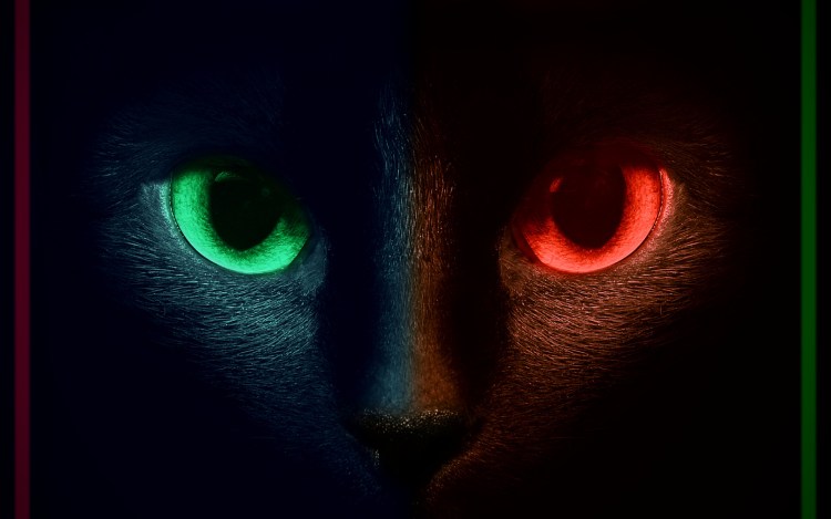 Кошачий глаз