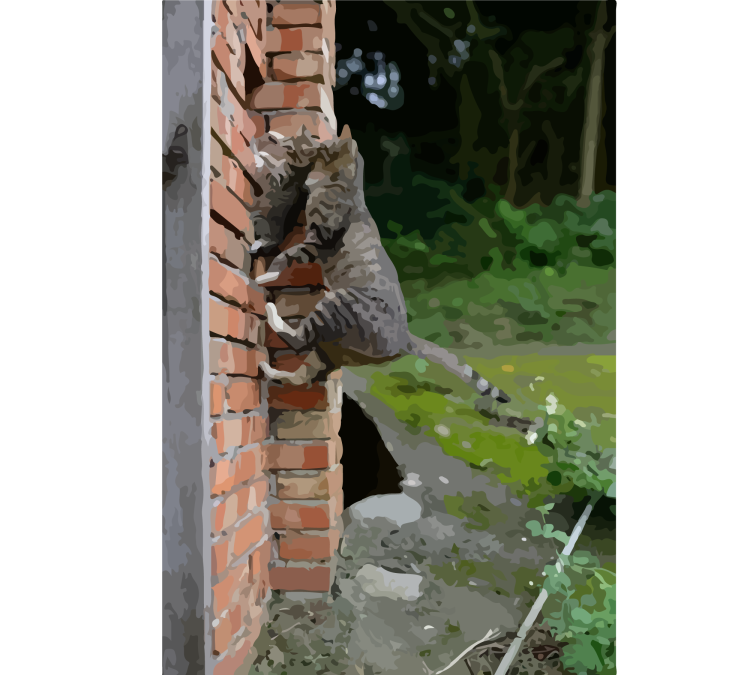 Лезть на стену