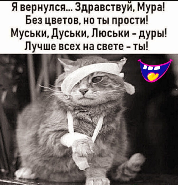 Художник Эндрю Пальянов