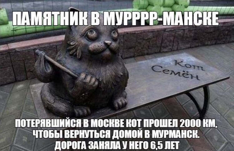 Смешные истории про животных