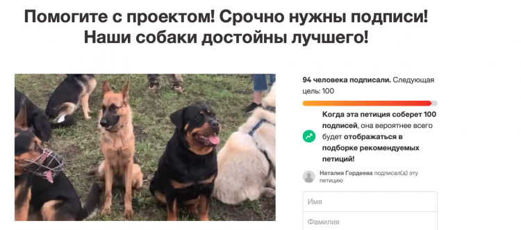 Выгул собак работа Ульяновск