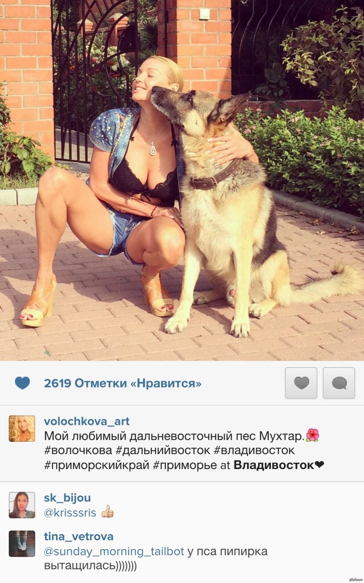 Смешные подписи к фотографиям